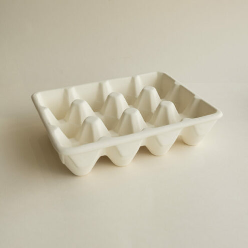 Boîte à oeufs x12